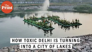 How rejuvenated lakes are recharging groundwater and changing the landscape of Delhi