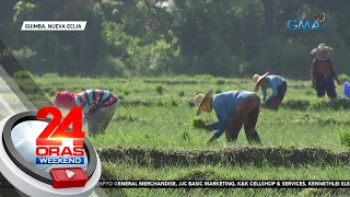 Agrikultura, pinakamahirap na sektor ng bansa ayon sa PSA | 24 Oras Weekend