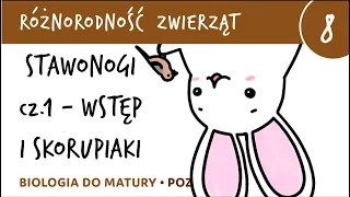 Różnorodność zwierząt 8 - Stawonogi (wstęp i skorupiaki) - matura z biologii rozszerzona