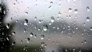 ฝน เบิร์ดกะฮาร์ท