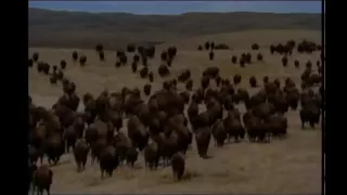 Buffalo Jump -Lakota