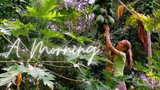 A MORNING IN MY FOOD FOREST