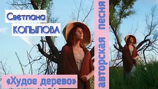 ХУДОЕ ДЕРЕВО. Песня. Автор-исполнитель - Светлана Копылова