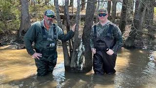 Wading For Spawning Mississippi Crappie