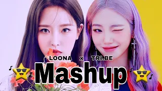 TRI.BE x LOONA - Would you run x PTT (Mashup)