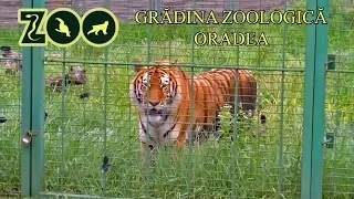 ZOO Oradea