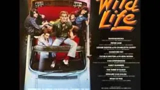 Back To School - Eddie Van Halen (The Wild Life Soundtrack)