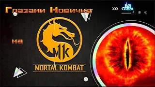 Mortal Kombat 11 / MK 11 глазами Новичка