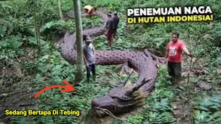 NYATA BERTEMU NAGA ANTABOGA MILIKNYA ANGLING DHARMA BERTAPA DI TEBING