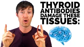 The DANGERS Of Thyroid Antibodies (They Hurt More Than Your Thyroid)