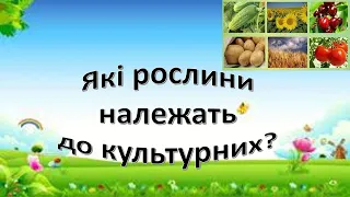 Урок 52.  "Які рослини належать до культурних?" Я досліджую світ 3 клас