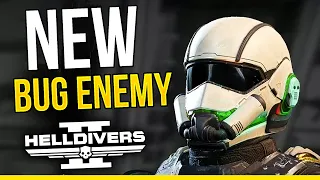 Helldivers 2 NEW BUG ENEMY IS HERE! & No Summer Updates?!