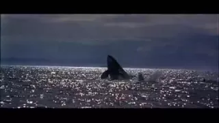 Free Willy Opening Credits