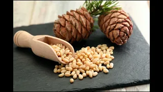 Benefits of Pine nuts |#pinenuts | Chalgoze ka fayede |@HowTo-448