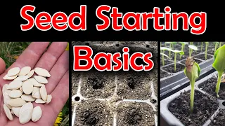 Seed Starting Basics - What You Need To Get Started