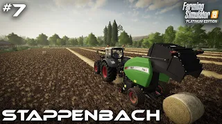 Baling Straw & Contract Work - Stappenbach #7 Farming Simulator 19 Timelapse - Seasons