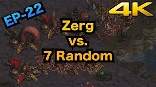 EP22 - StarCraft: Brood War 1 Zerg vs. 7 Random in 41min. (Remastered) 【4k】