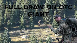 OTC Archery Elk Hunt 2022 | Full draw on a GIANT