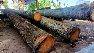 Amazing! The mysterious long coconut tree sawmill