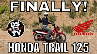 Honda Trail 125 (CT 125) Full On and Off Road Test and Review - Best Mini Moto?