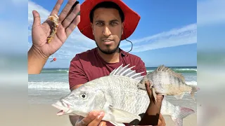 Catching Steenbras on Macassar beach