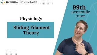 Physiology: Sliding Filament Theory | MCAT Crash Course