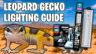 LEOPARD GECKO LIGHTING GUIDE!