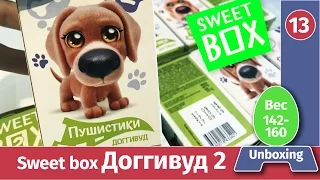 Распаковка Cвит бокс  Доггивуд 2. Unboxing  обзор веса