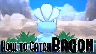 How to Catch Bagon - Pokemon X and Y