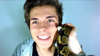 THIS VIDEO WILL MAKE YOU LOVE SNAKES!