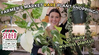 $20 Philodendron Gloriosum At Farmer's Market!! Rare Plant Shopping & House Plant Haul - Raleigh NC