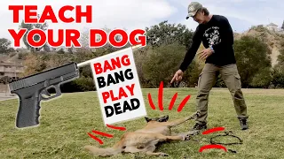 Teach Your Dog to Play Dead - Trick Dog Training