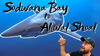 THE COASTAL TOUR - Sodwana Bay to Aliwal Shoal (Scuba diving in South Africa)