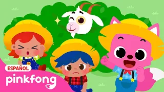 🎶Sal de Ahí Chivita Chivita | Canciones Infantiles | Pinkfong en español