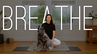 5 Minute Calming Breathwork