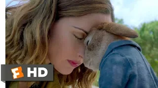 Peter Rabbit (2018) - Forgiveness Scene (10/10) | Movieclips