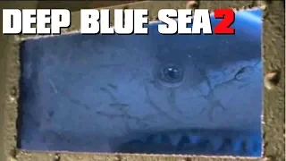 The Shark Scale: Deep Blue Sea 2