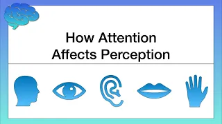 How Attention Affects Perception