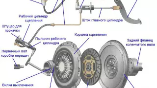 Сцепление, его виды, назначение и устройство