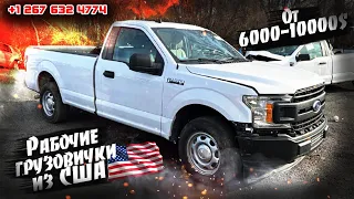 2020 Ford F-150 XL - 8500$. Авто из США 🇺🇸.