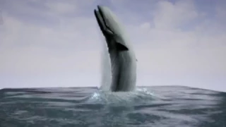 UE4 -- FX test whale breach