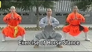 Shaolin Kung Fu basic moves