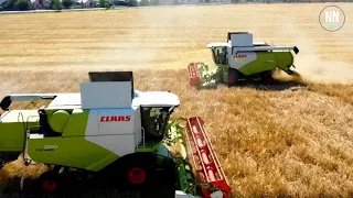 ЖНИВА 2021, Буковина, Новоселицька МТГ, Harvest 2021, CLAAS