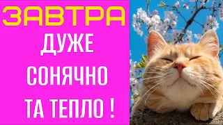 СОНЯЧНО ТА ТЕПЛО! - Прогноз погоди на 30 Квітня