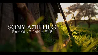 Sony 24 GM Killer on a BUDGET: Samyang 24 f1.8 Autofocus Cinematic Video Footage on Sony a7III 2022.