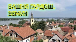 ПОНАЕХАВШИЕ. БАШНЯ ГАРДОШ. ЗЕМУН.