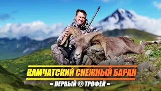 ПЕРВЫЙ ТРОФЕЙ. ОХОТА НА КАМЧАТСКОГО СНЕЖНОГО БАРАНА