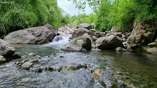 4K Beautiful Mountain River Flowing Sound, Birds Sound, sleep, study, relaxation, work, ASMR