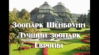 Зоопарк Шёнбрунн в Вене , экскурсия по одному из лучших зоопарков в мире .