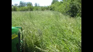 Making hay 2010 1st cut
